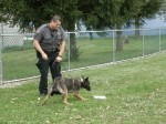 SW K-9 POLICE DEMO AT 2nd ANNUAL K-9 COSTUME PARTY PICS BY CINDY STRAUB