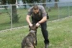 SW K-9 POLICE DEMO AT 2nd ANNUAL K-9 COSTUME PARTY PICS BY CINDY STRAUB