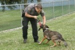 SW K-9 POLICE DEMO AT 2nd ANNUAL K-9 COSTUME PARTY PICS BY CINDY STRAUB