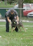 SW K-9 POLICE DEMO AT 2nd ANNUAL K-9 COSTUME PARTY PICS BY CINDY STRAUB