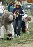 2nd ANNUAL K-9 COSTUME PARTY PICS BY CINDY STRAUB