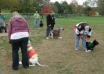 2nd ANNUAL K-9 COSTUME PARTY PICS BY CINDY STRAUB