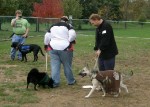 2nd ANNUAL K-9 COSTUME PARTY PICS BY CINDY STRAUB