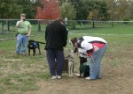 2nd ANNUAL K-9 COSTUME PARTY PICS BY CINDY STRAUB