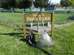 swpawspark-cleanup-2012-4