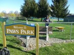 swpawspark-cleanup-2012-8